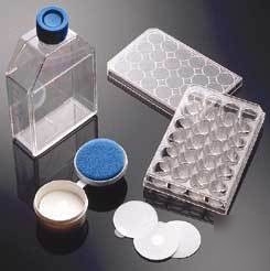Bd biocoat cellware, poly-lysine, bd biosciences 356524
