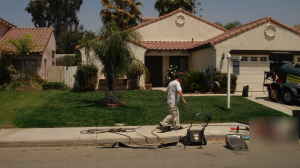 Lawn painting business for sale