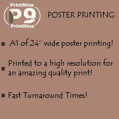 2 x custom poster prints large 12