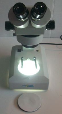 Vwr scientific stereo microscope w/ 2 eyepiece