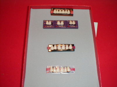 New large lot of porcelain denture teeth and carded