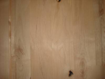 2 panel arch top knotty alder solid core wood door 8'0 