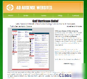 40 adsense websites store with google ads and domain.