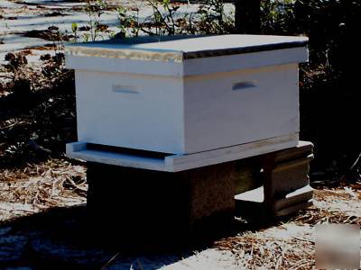 Beekeeping 10 frame bee hive complete / painted