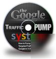 ##google traffic## established website for sale