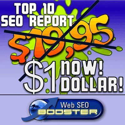 Top 10 seo report premium service +80 pages pdf try it 