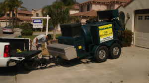 Lawn painting business for sale