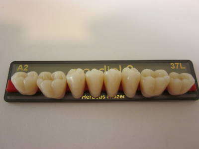 New heraeus posterior mondial denture teeth .... 