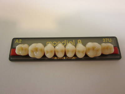 New heraeus posterior mondial denture teeth .... 