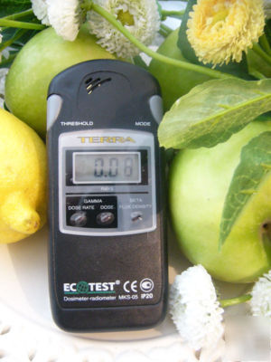 New radiation detector rare dosimeter geiger counter 