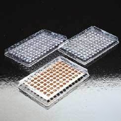 Bd falcon 96-well pvc plates, bd biosciences 353913