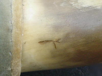Mounted antique long horn with cloven hoof