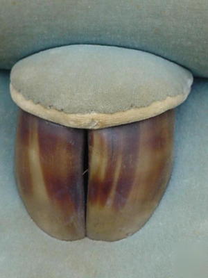 Mounted antique long horn with cloven hoof