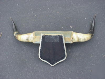 Mounted antique long horn with cloven hoof