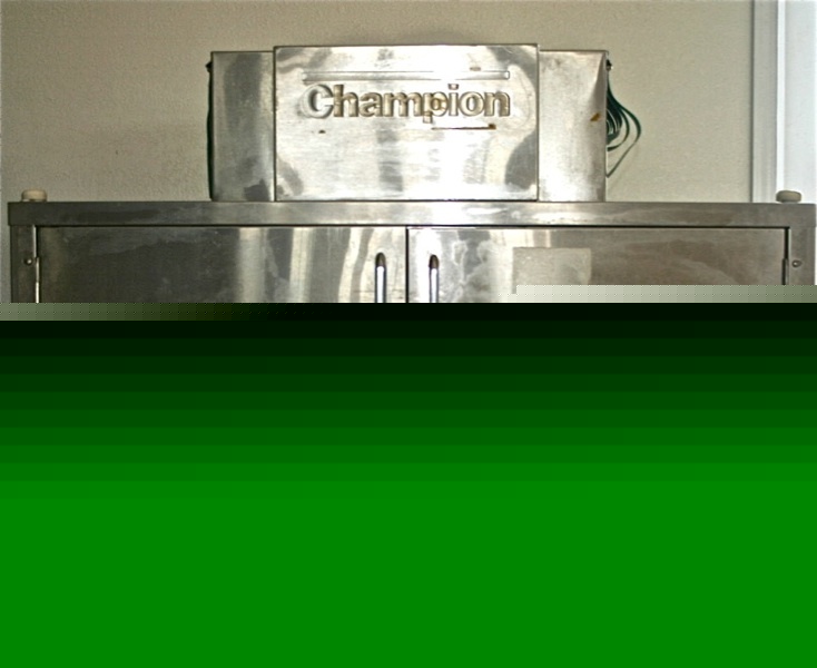 Champion stainless steel conveyor glass washer - CG4