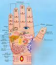 Acupressure massage/herb remedies/naturopath on 2 dvds