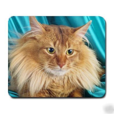 Somali cat mousepad mouse pad animal rescue D2