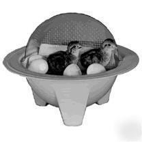2 replacement bulbs for chick-bator mini- incubators