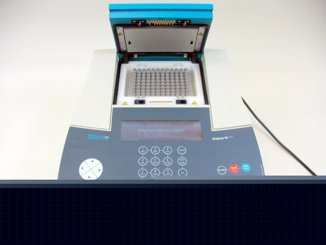 Mwg ag biotech pcr system primus 96 plus thermal cycler