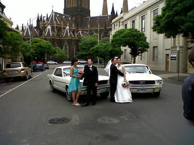 Ford mustang, car hire, business, wedding cars 