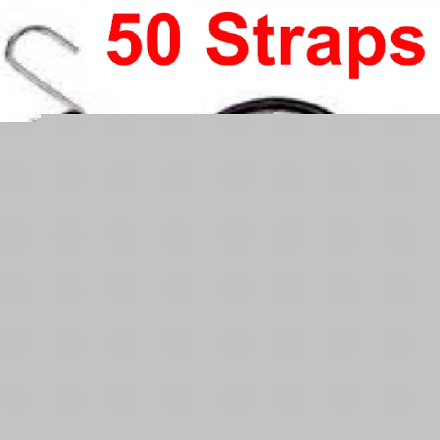 New 50 41