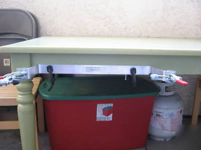  ladder safety device