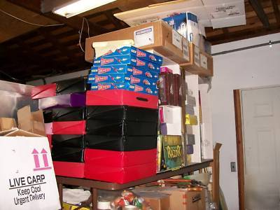 Entire inventory collectible toy store 1970's, 80S, 90S