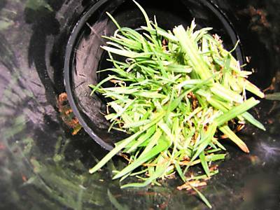 Sewer inspection camera pipe video drain cleaner snake 