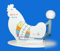 New grade a poultry egg scale: 