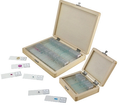 New celestron 100 piece prepared microscope slides set
