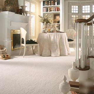 Domestic cleaning service - home-based business 