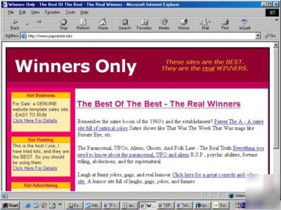 Website advertising - taken to the next level 