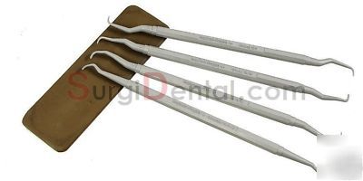 Implant-prophy+ hygiene curettes dental instruments