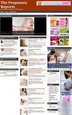 Established pregnancy information book website business