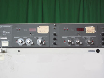 Fisher CO2 dual chamber water-jacketed incubator # 61