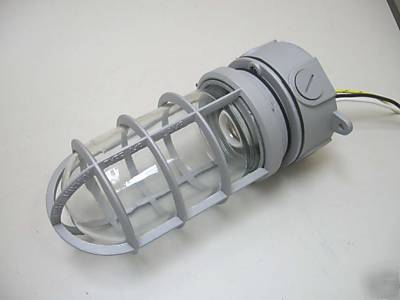 Vapor proof incandescent caged light fixture VB23
