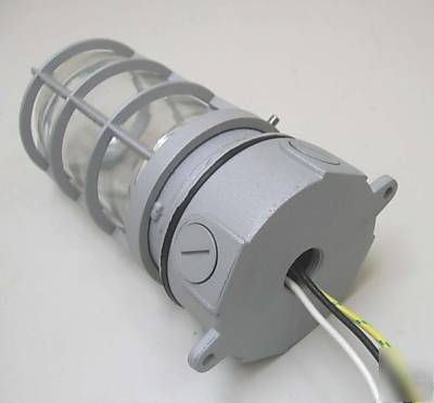 Vapor proof incandescent caged light fixture VB23