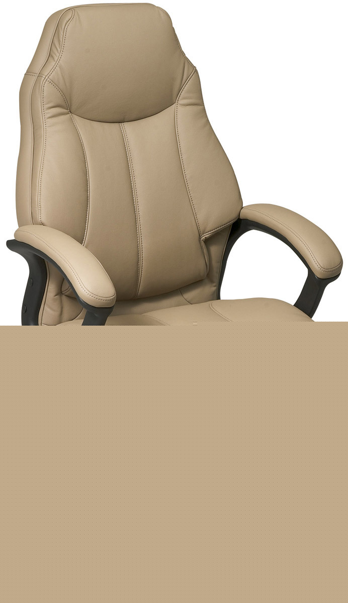 Tan leather deluxe high back executive office chair