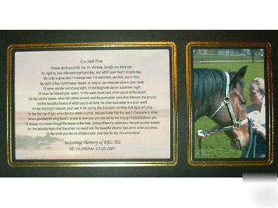 Pet memorial: i am still here 