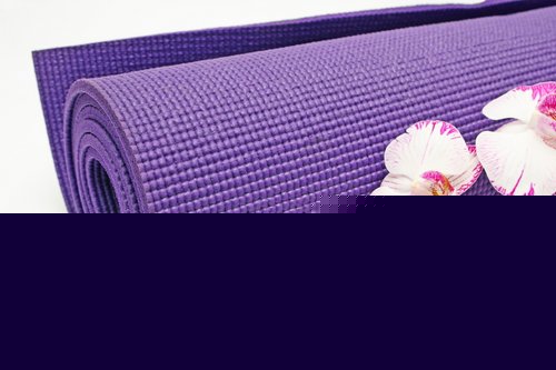 $68,100 / month - established web 2.0 yoga site