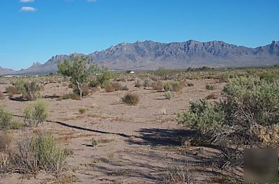 *sale* 1 acre on calandria road, luna county * $1,980*