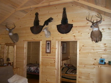 Cabin kit-*complete*-*precut*-beginner skills - easy