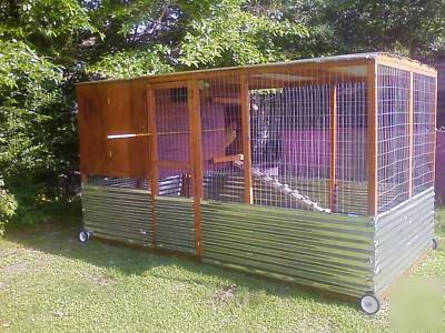 Large backyard coop 