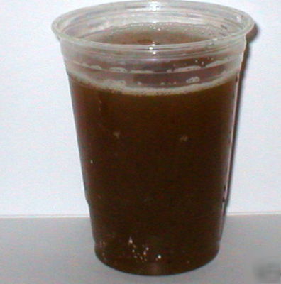 Wastewater treatment and wet sludge treatment
