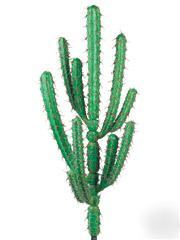 Hot south west lot artificial big cactus cacti group