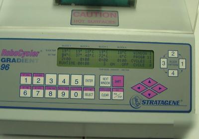 Robocycler gradient 96, thermal block cycler stratagene