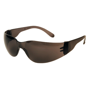 Radian dark safety glasses 1 box/12 pairs