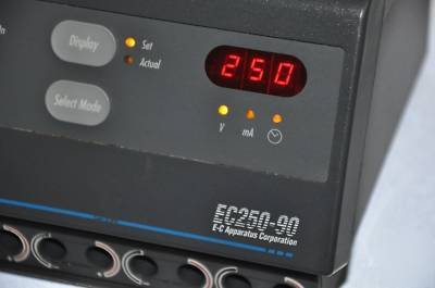 EC250-90 electrophoresis power supply #9461