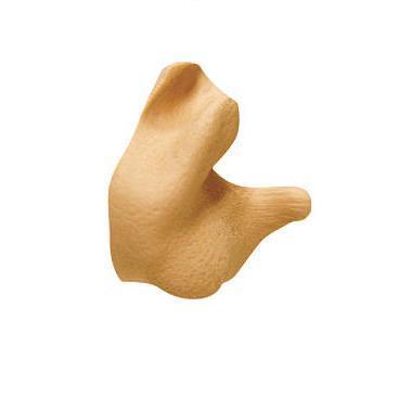 Radians custom molded earplugs hearing protection tan