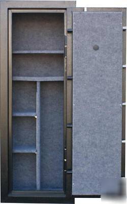 New gun safe - second amendment (59
